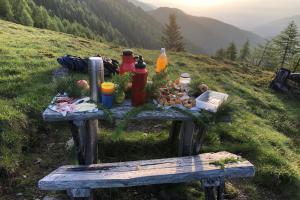 Zur Krönung gibt's ein tolles Waldfrühstück