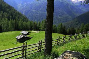 On the road in the Flatschberg valley